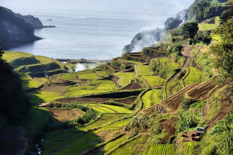 하마노우라 계단식 논 (Hamanoura Rice Terraces) 3