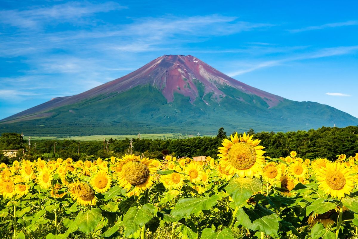 สวนพฤกษชาติ Hana no Miyako