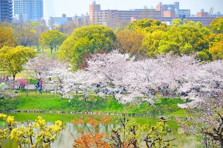 Parque Hanamiko Kinen Koen Tsurumi Ryokuchi