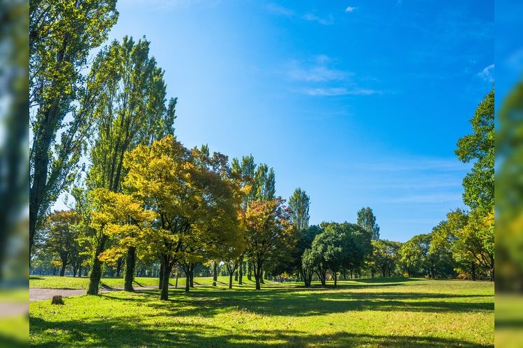 Parque Hanamiko Kinen Koen Tsurumi Ryokuchi 4