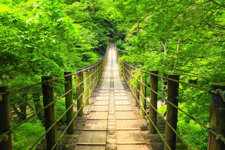 Hanuki Valley