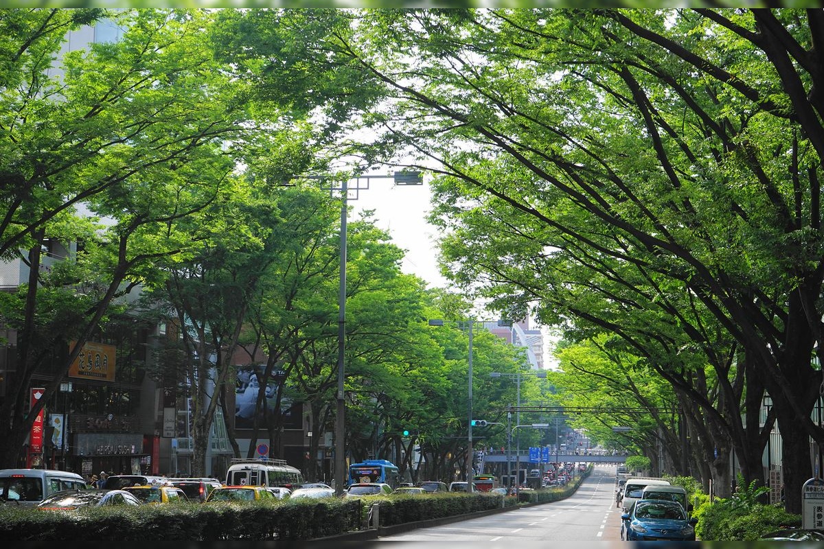 原宿・表参道(竹下通り)