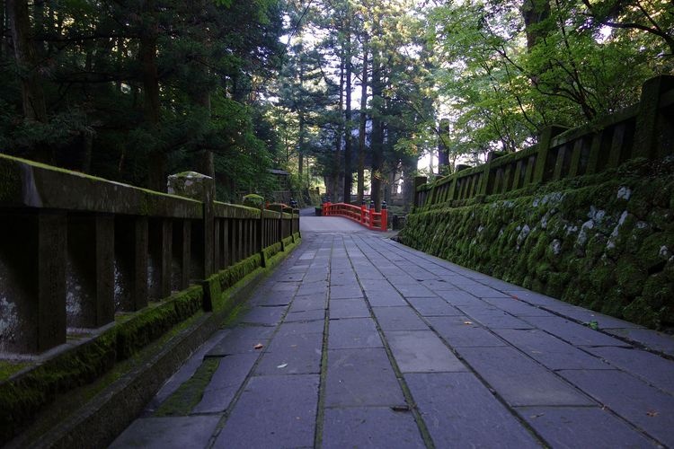 榛名神社 8
