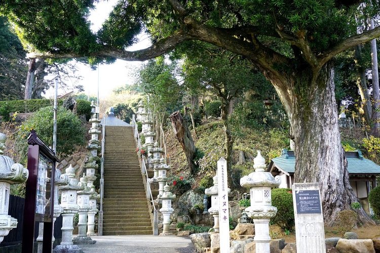Hase-dera (Iiyama Kannon) 3