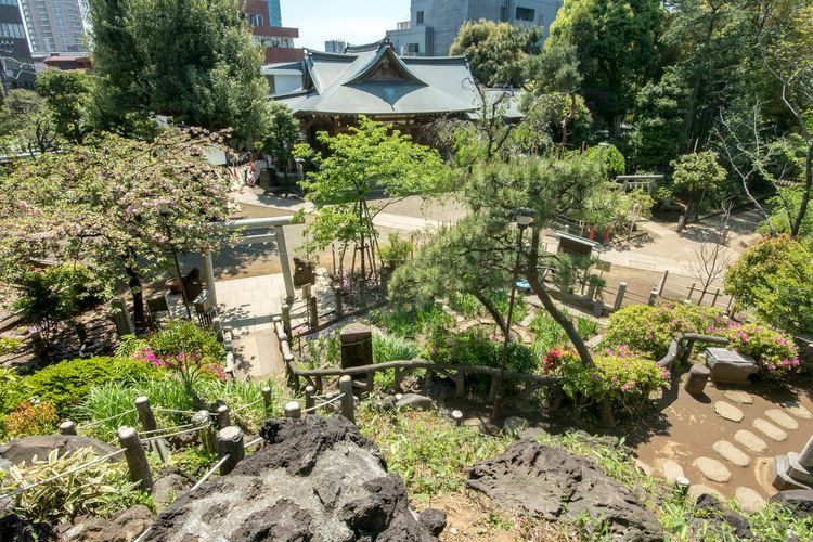 Hatomori Hachiman Jinja 3