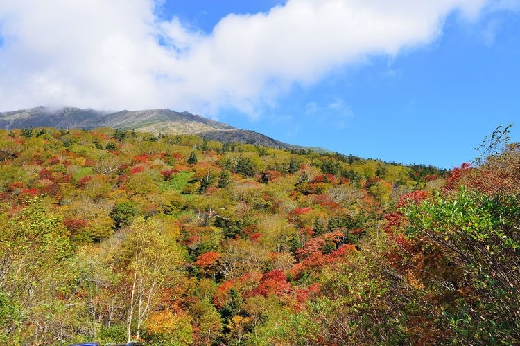 Mount Hayachine 4