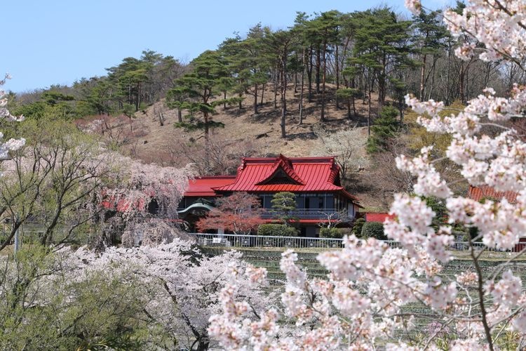 Hana to Rekishi no Sato Hebi no Hana