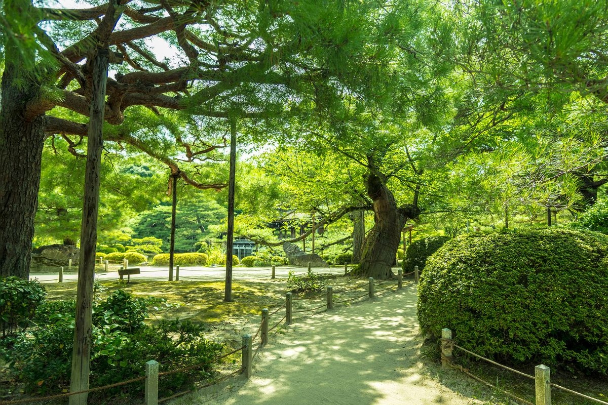 สวนเฮอันจิงกู ชินเอน (Heian Jingu Shinen)