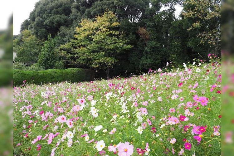 Hibikinada Green Park 2