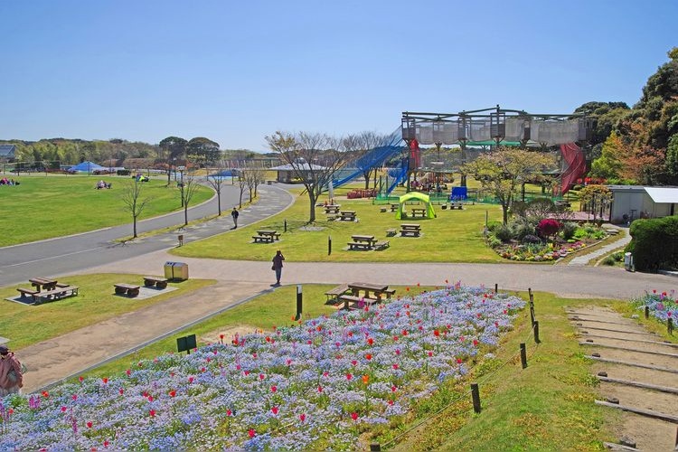 Hibikinada Green Park 4