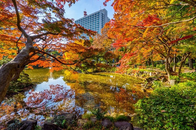 日比谷公園 2