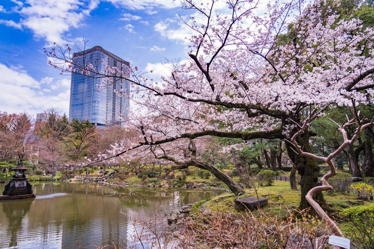 日比谷公園 3