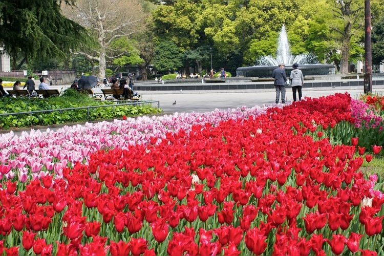 日比谷公園 4