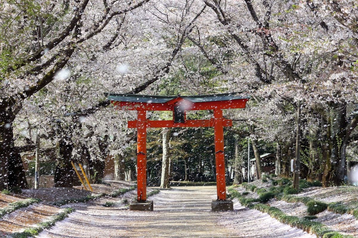 Higashifukida Tenmansha