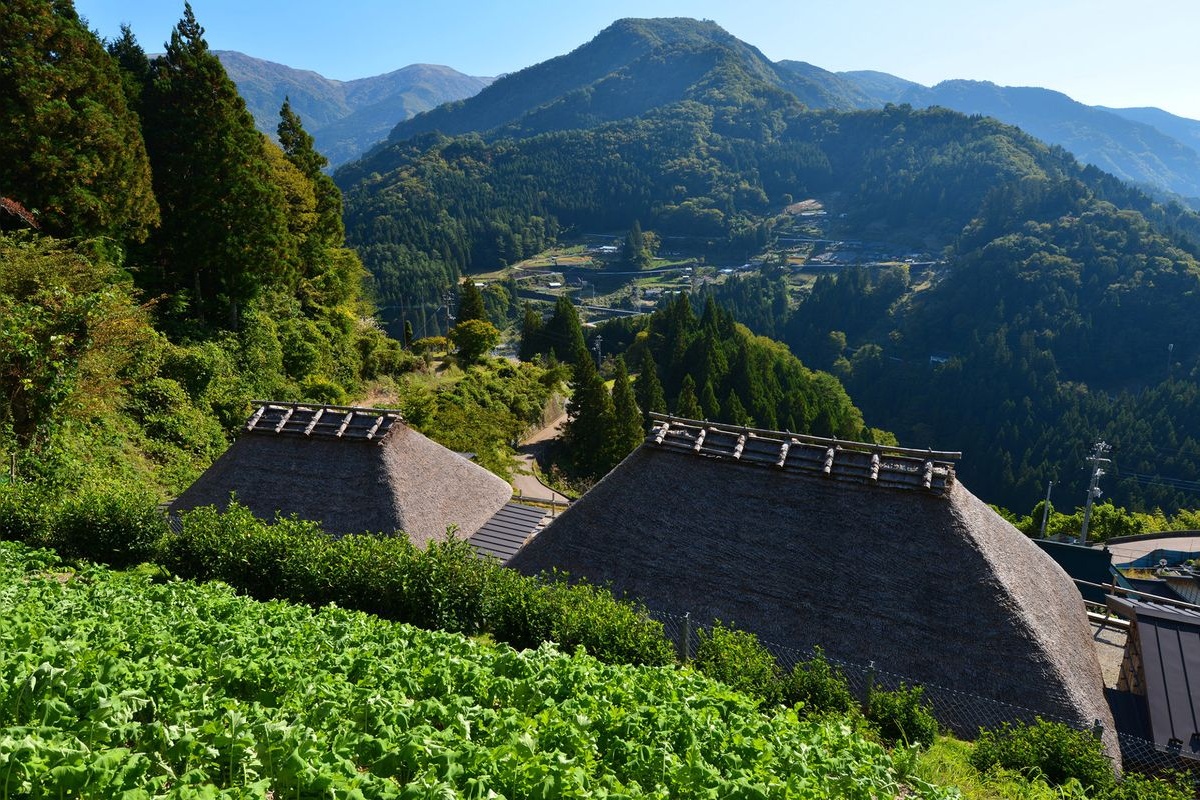 東祖谷山村落合 (Higashi Iyayama Mura Ochiai)