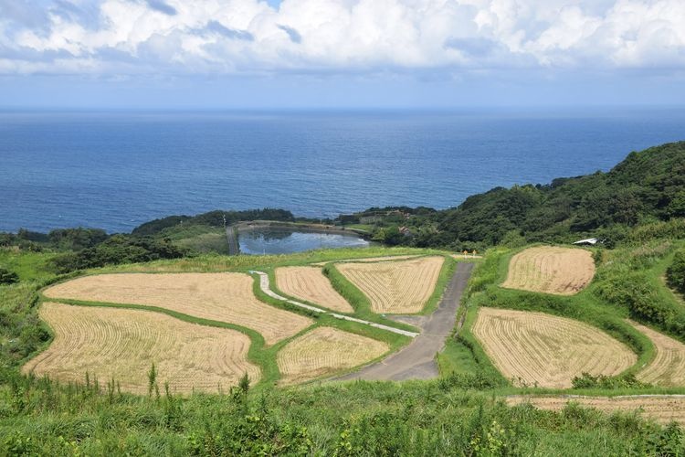 Higashigohata Tanada (東後畑棚田)