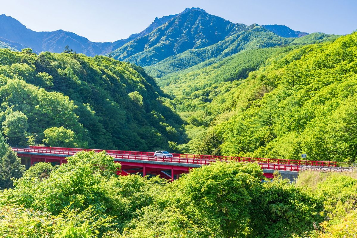 สะพาน Higashizawa Ohashi
