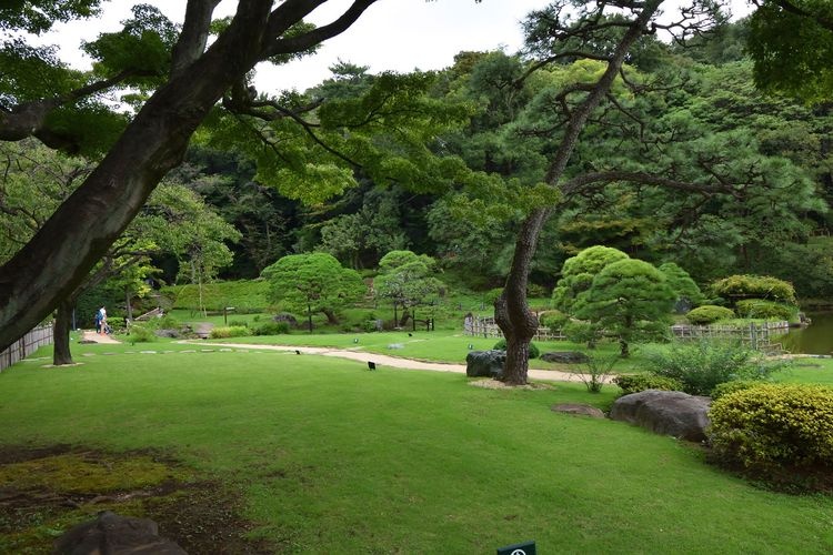 肥后细川庭园