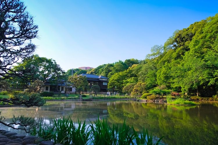 肥后细川庭园 3