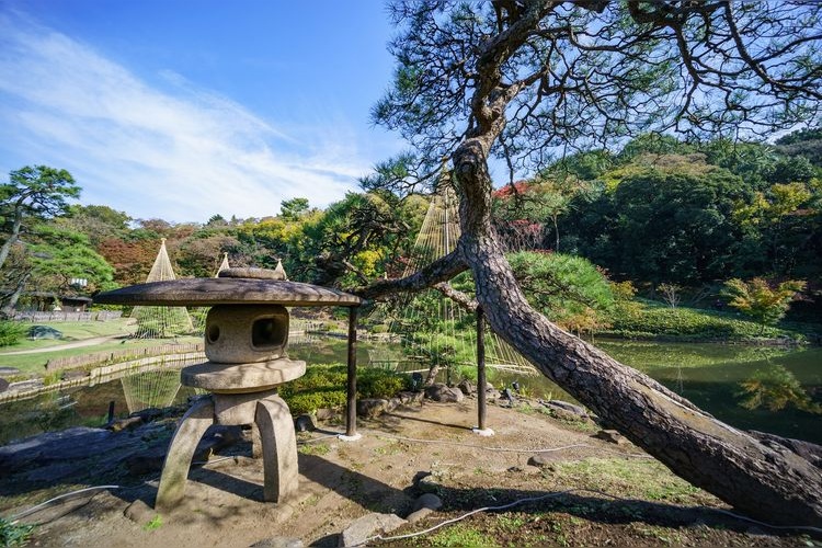 肥后细川庭园 4