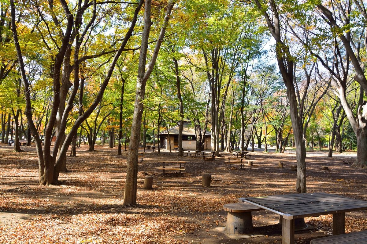 Parc Hikarigaoka
