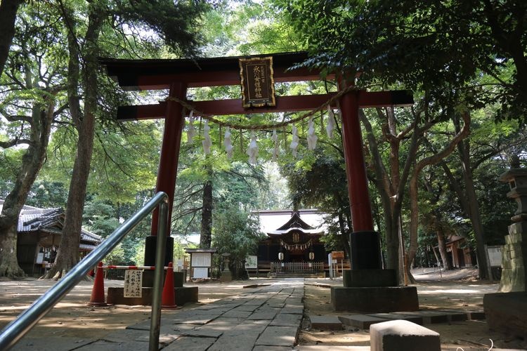 Hikawa Nyotai Jinja