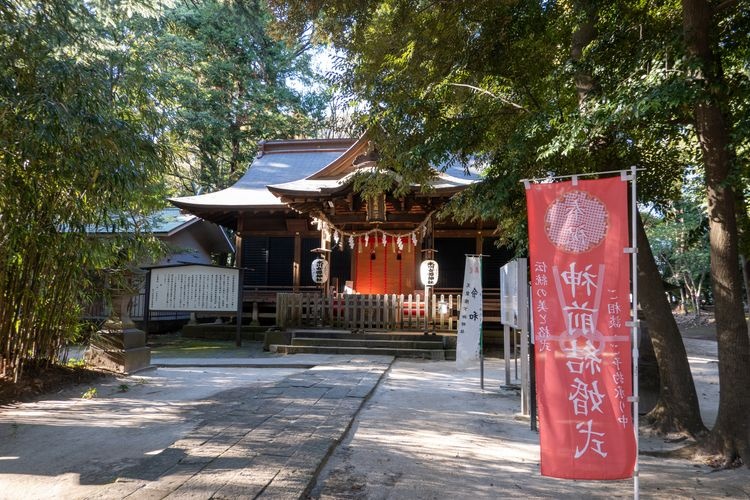 Hikawa Nyotai Jinja 2
