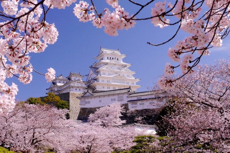 姫路城 4
