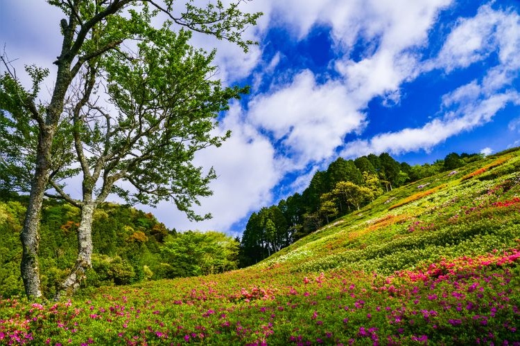 Himenosawa Park 3