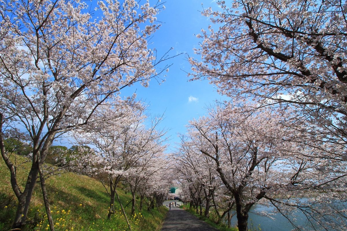 Parque Hinakuma