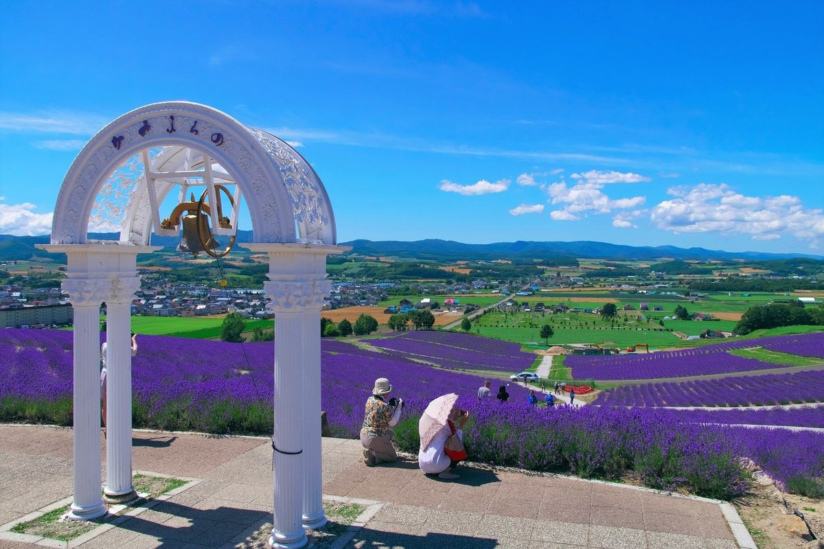 Hinode Lavender Garden