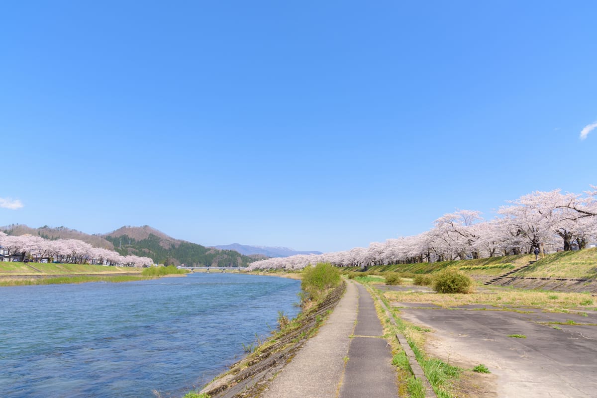 Tunnel de cerisiers de Hinokinai Kawatutei