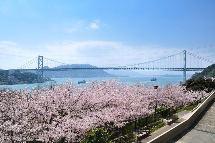 Hino Yama Park 4