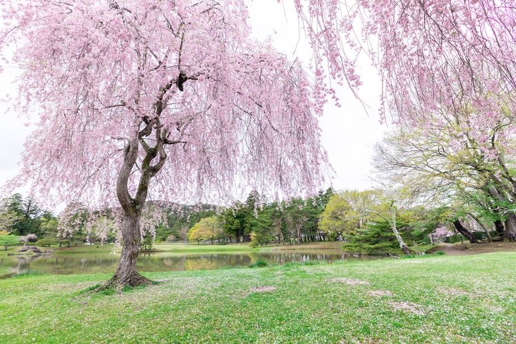 Kanjiro-oin Site