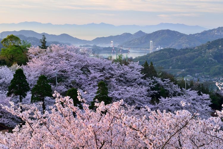 開山公園 (Kaizan Park)