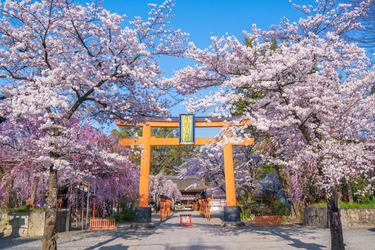 Hirano-jinja Schrein 4