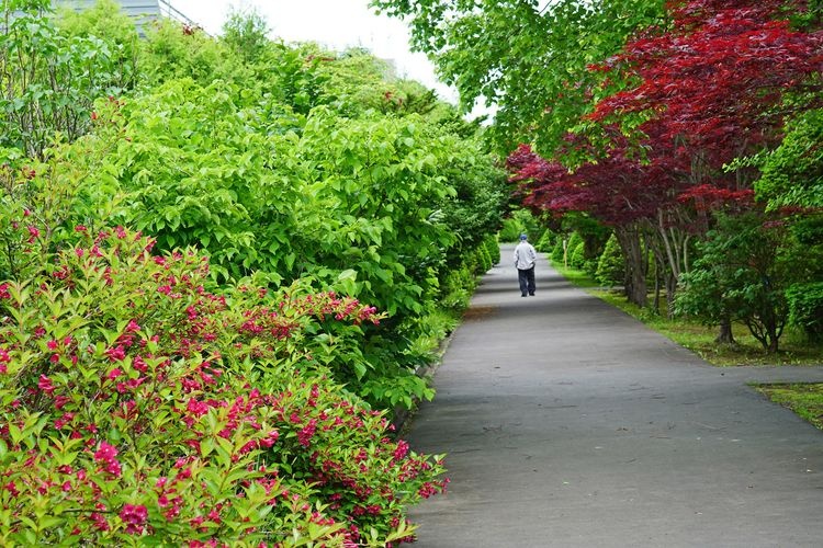 Hiraoka Jugei Center