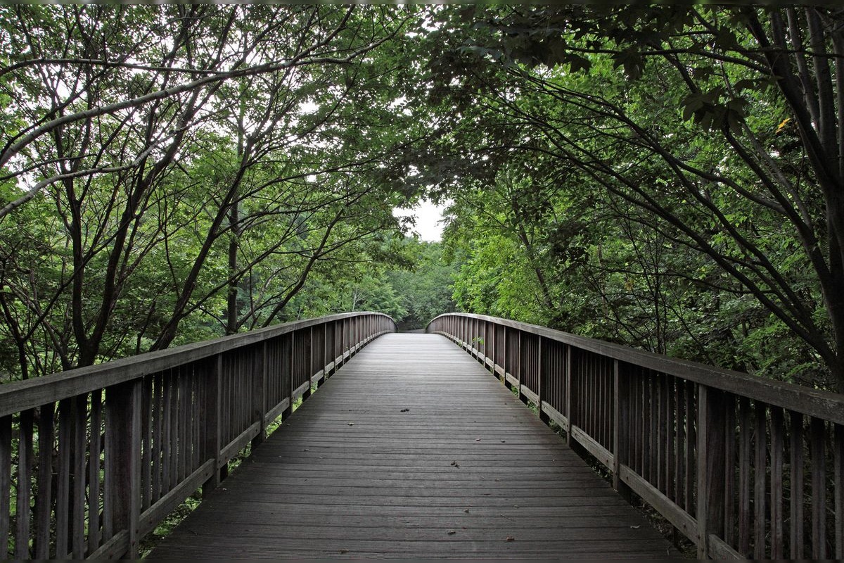 平岡公園 (Hiraoka Park)
