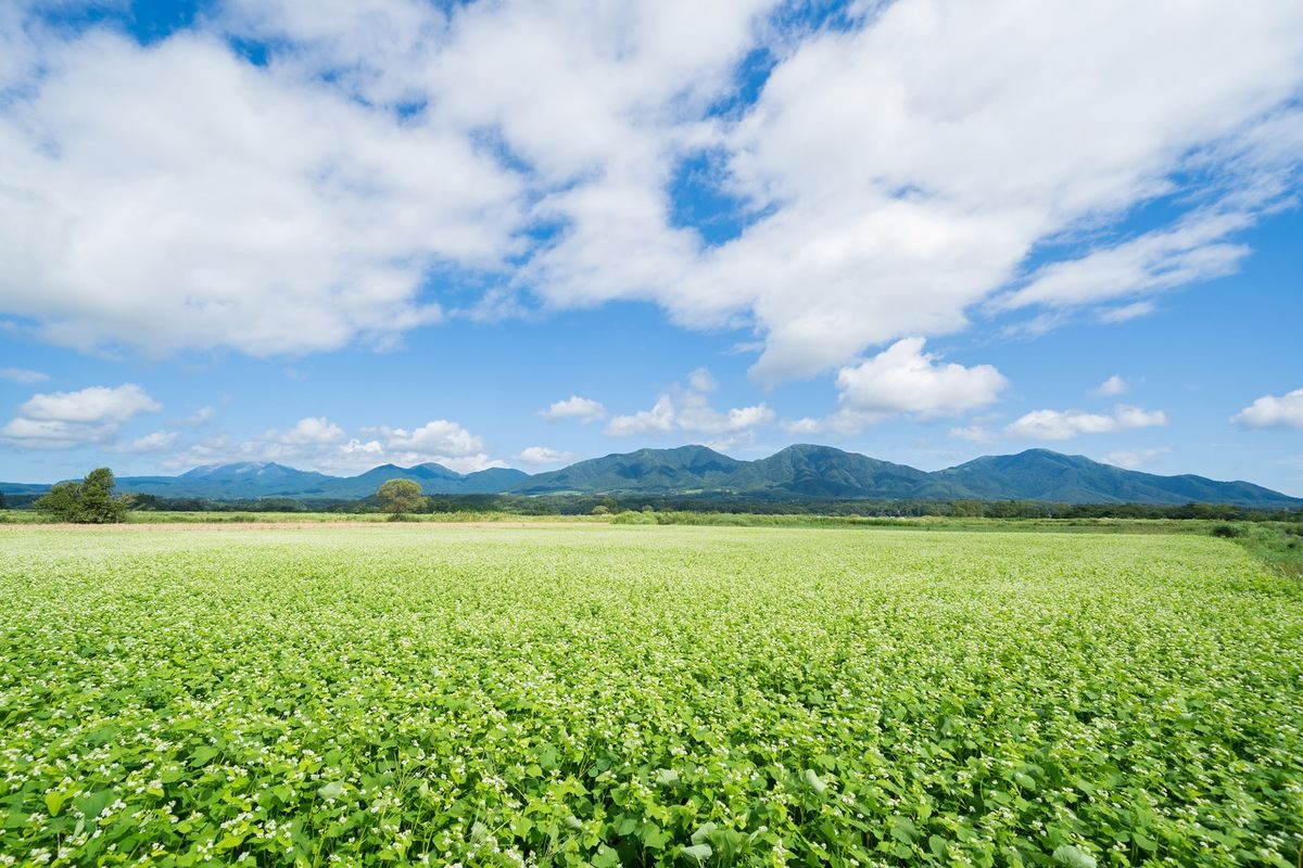 Datensan Plateau (Hiruzen Kogen)