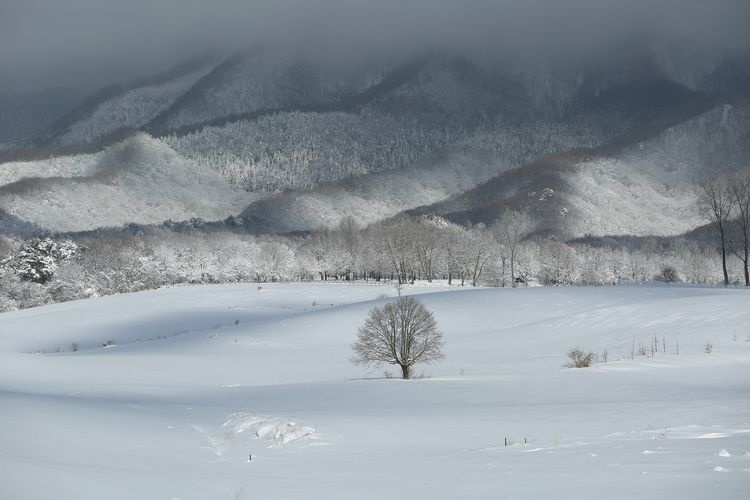 Datensan Plateau (Hiruzen Kogen) 3
