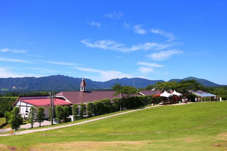 Hiruzen Kogen (Hiruzen Plateau) 6
