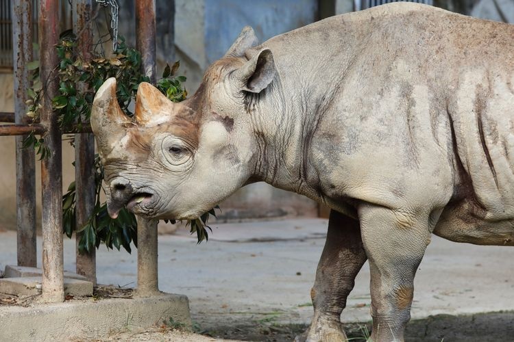 日立市かみね動物園 2