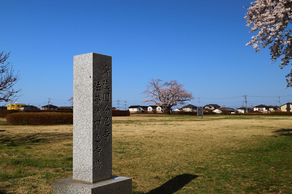 常陆国分寺 (Hitachi Kokubunji)