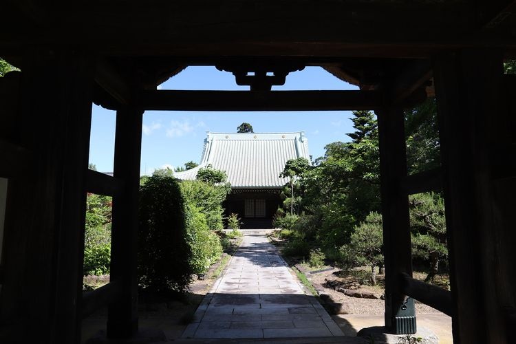 常陆国分寺 (Hitachi Kokubunji)