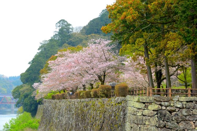 人吉城跡