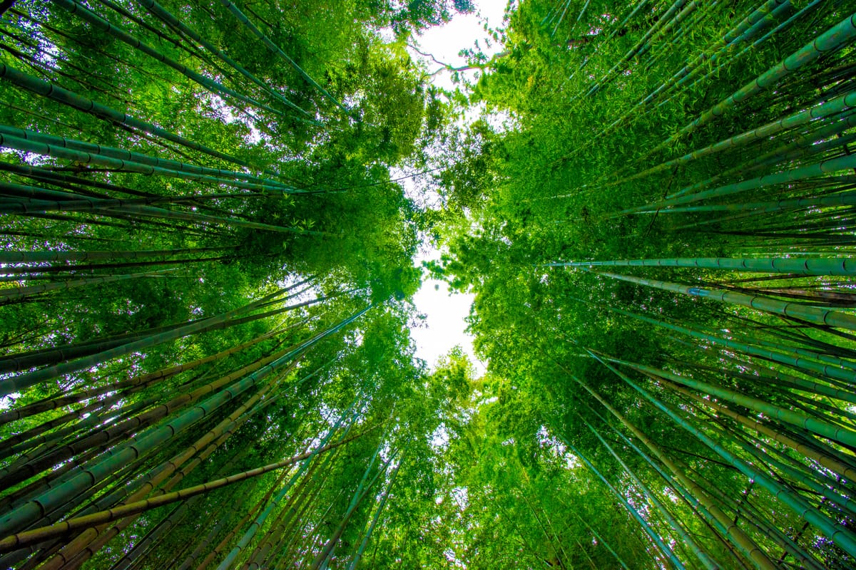 Hiyodorizaka