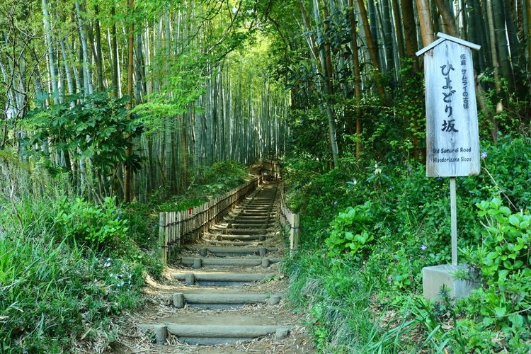 檜與多里坂 (Hiyodori-zaka) 3