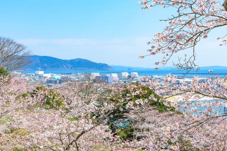 日和山公园