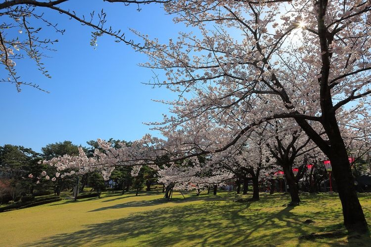 Parque Hiyoriyama 2
