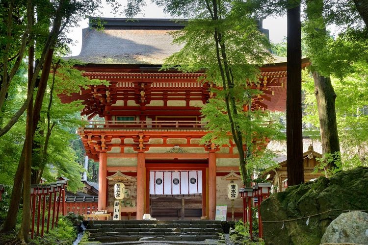 Hiyoshi Taisha 2